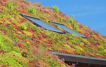 Water Orton living roof systems